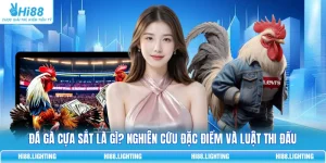 Đá Gà Cựa Sắt | Khám Phá Quy Tắc Tham Gia Cá Cược Tại Hi88