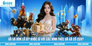 Đá Gà Đòn Là Gì? So Sánh Chi Tiết Với Đá Gà Có Cựa 2026