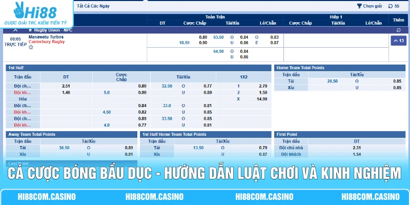 Cá Cược Bóng Bầu Dục - Hướng Dẫn Luật Chơi Và Kinh Nghiệm