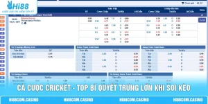 Cá Cược Cricket - Top Bí Quyết Trúng Lớn Khi Soi Kèo