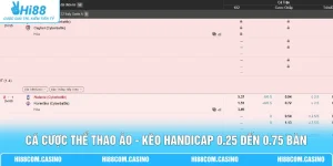 Cá Cược Thể Thao Ảo - Kèo Handicap 0.25 Đến 0.75 Bàn