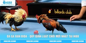 Đá Gà Bàn Bida - Quy Định Luật Chơi Mới Nhất Tại Hi88