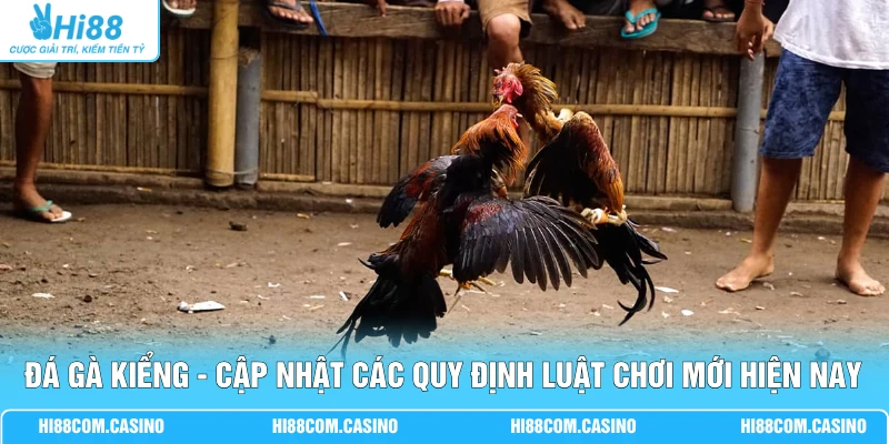 Đá Gà Kiểng - Cập Nhật Các Quy Định Luật Chơi Mới Hiện Nay Đá Gà Kiểng - Cập Nhật Các Quy Định Luật Chơi Mới Hiện Nay