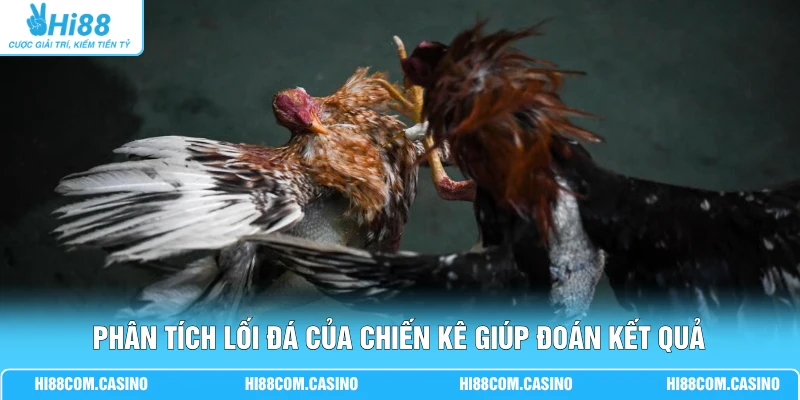 Đá Gà Bàn Bida - Quy Định Luật Chơi Mới Nhất Tại Hi88 Phân tích lối đá của chiến kê giúp đoán kết quả