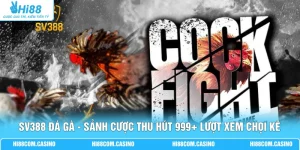 SV388 Đá Gà - Sảnh Cược Thu Hút 999+ Lượt Xem Chọi Kê