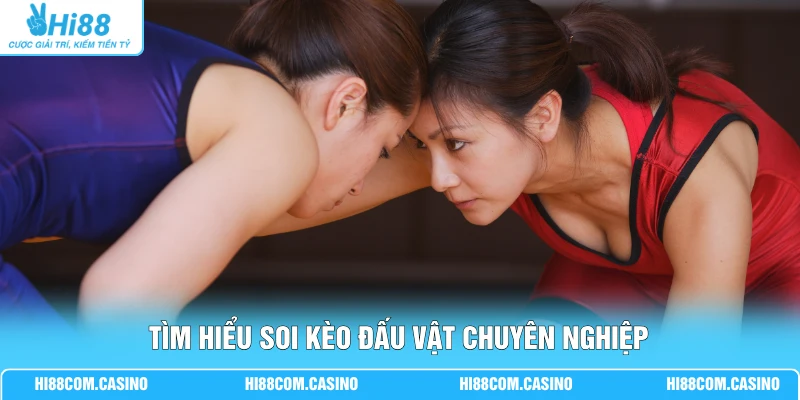 Tìm hiểu soi kèo đấu vật chuyên nghiệp
