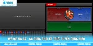 WS168 Đá Gà - Cá Cược Chọi Kê Trực Tuyến Cùng Hi88